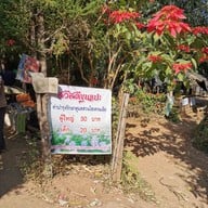 ทุ่งไฮเดรนเยีย โครงการหลวงขุนแปะ