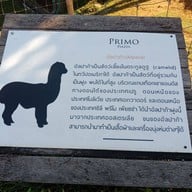 PRIMO CAFE PRIMO PIAZZA