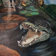 บรรยากาศ บึงบอระเพ็ด