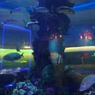 บรรยากาศ บึงบอระเพ็ด