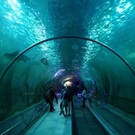 บรรยากาศ บึงบอระเพ็ด