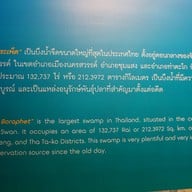 บรรยากาศ บึงบอระเพ็ด