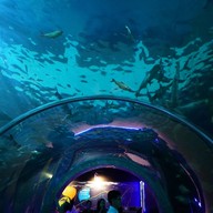 บรรยากาศ บึงบอระเพ็ด