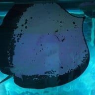 บรรยากาศ บึงบอระเพ็ด