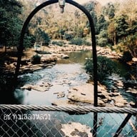 อุทยานแห่งชาติทุ่งแสลงหลวง
