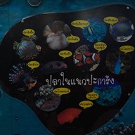 สถานแสดงพันธุ์สัตว์น้ำระยอง