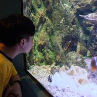 สถานแสดงพันธุ์สัตว์น้ำระยอง