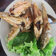 ปูดำ