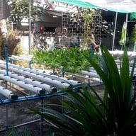 บรรยากาศ Gimme The Farm