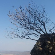 อุทยานแห่งชาติน้ำพอง