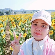 ทุ่งทานตะวัน ไร่มณีศร เขาใหญ่