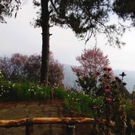 สถานีวิจัยเกษตรที่สูงสันป่าเกี๊ยะ