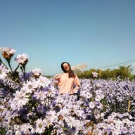 บรรยากาศ สวนดอก ป้าจวน ลุงใจ๋