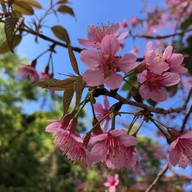 อุทยานแห่งชาติขุนสถาน