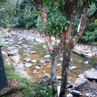 ร้านข้าวแกงพัทลุง