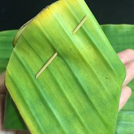 เมนูของร้าน ข้าวเหนียวสังขยา by Patjira ตลาดล่างซอย 4