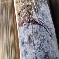 เมนูของร้าน ร้านข้าวหลามแม่เล็ก รอดบางยาง