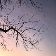 สวนนวมินทร์ภิรมย์