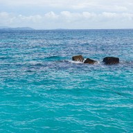 เกาะไม้ท่อน