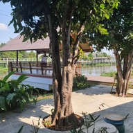 บรรยากาศ อิ่มริมคลอง