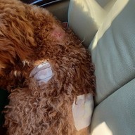 ตะวันนารีสอร์ท สิงห์บุรี