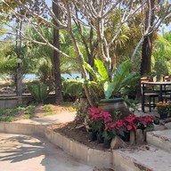 จูดงบ้านไม้ปลายซอย