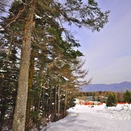 Fujiten Snow Resort
