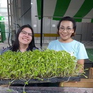 ขนมจีนน้ำยา  ณิชา ภูมิใจ 3โครงการ 1