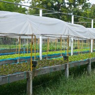 ฟาร์มคาเฟ่ ไร่กาลเวลา ออร์แกนิค