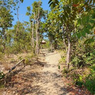 บรรยากาศ ผาช่อ