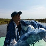 บึงบอระเพ็ด