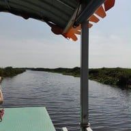 บึงบอระเพ็ด