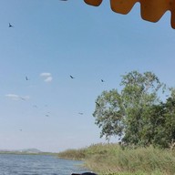 บึงบอระเพ็ด