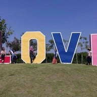 บึงบอระเพ็ด