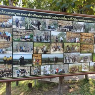 บรรยากาศ ผาช่อ