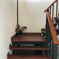 แดนสยาม Cafe