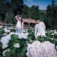 ทุ่งไฮเดรนเยีย โครงการหลวงขุนแปะ