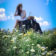 ทุ่งดอกเก็กฮวย ไร่นายพล