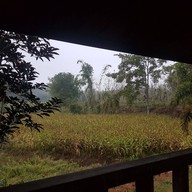 สวนชาทีการ์เด้น