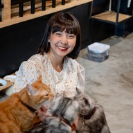 lndicat Cafe & Cat Hotel