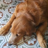 บรรยากาศ Frères Coffee