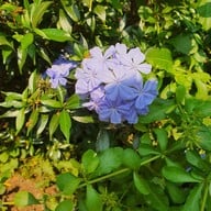 บรรยากาศ Frères Coffee