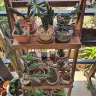 บรรยากาศ Frères Coffee