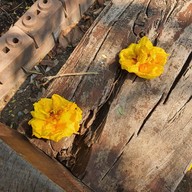 บรรยากาศ Frères Coffee