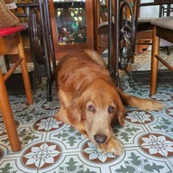 บรรยากาศ Frères Coffee