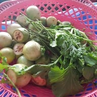 เมนูของร้าน ป้าอุไรข้าวแกงบุฟเฟต์