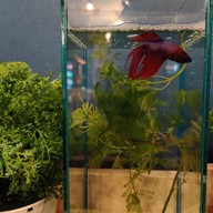 บรรยากาศ ใครจับปลา