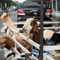 บรรยากาศ ถนนคนเดินขอนแก่น