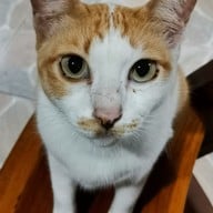 ครัวน้องเฟิร์น