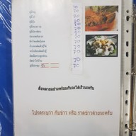 กุ๊กนิตย์